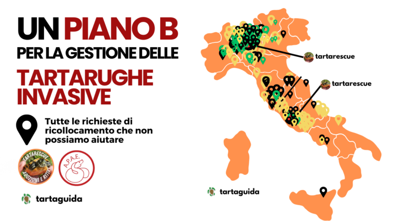 Petizione tartarughe