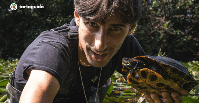 Trachemys scripta a Melegnano
