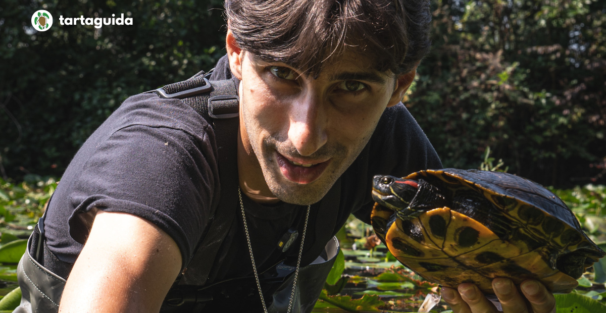 Trachemys scripta a Melegnano